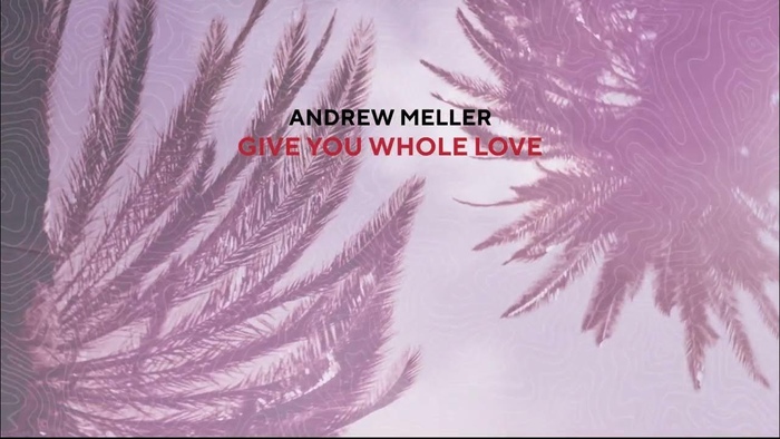 Andrew Meller - Give You Whole Love
